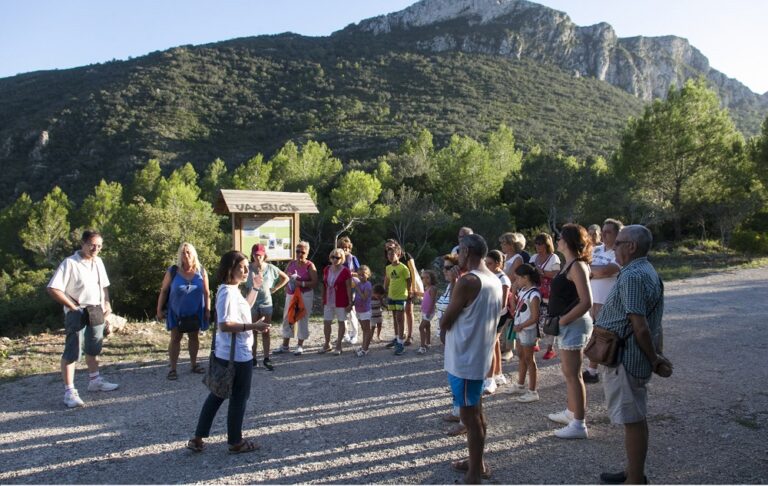 Quarta edició del programa d’eco-turisme #PlatjaNatura a Gandia