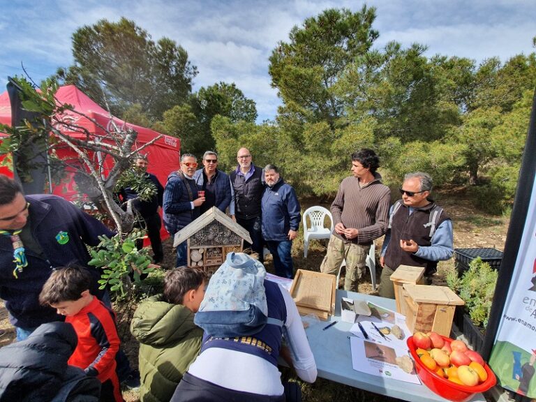 L’Ajuntament i Enamorats d’Alacant planten més de 2.000 arbres i arbustos autòctons en monte Orgegia