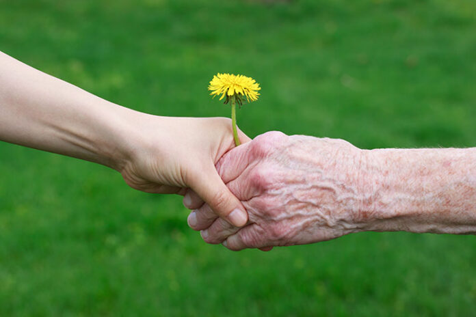 Young,And,Senior's,Hand,Holding,A,Dandelion