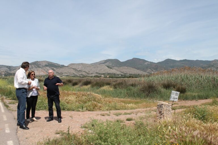 L’ajuntament de Benicàssim recrimina a la Conselleria que no delimite la marjal