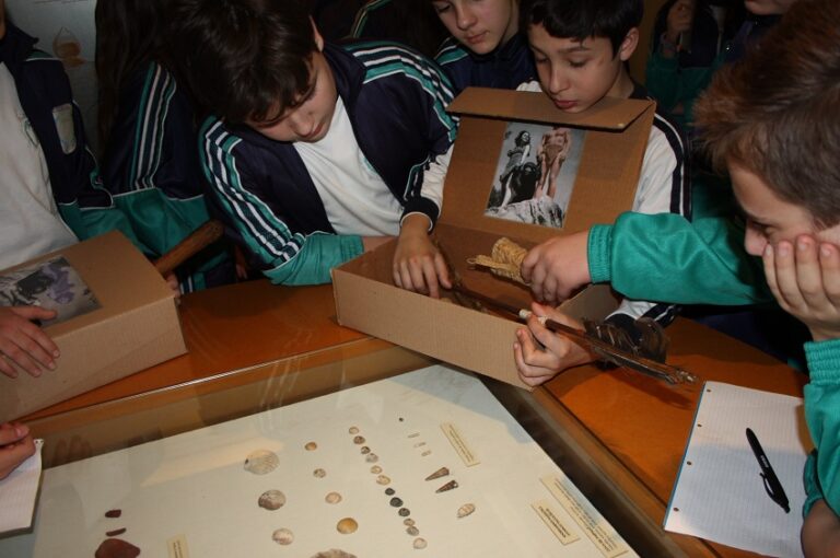 El Museu de Prehistòria rep el Premi Romà de la Calle per la seua trajectòria educativa