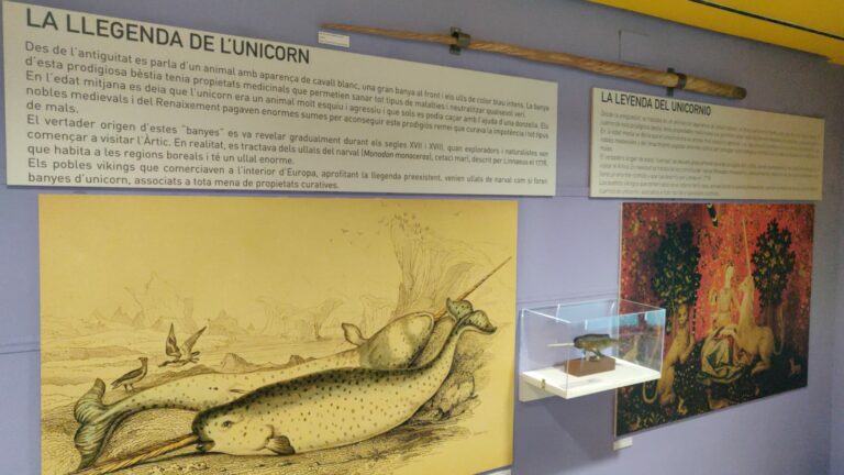 ‘Ciència i mites’ es el titol de la nova exposició del Museu de Ciències Naturals de València