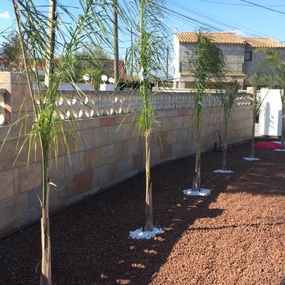 Servicios Jardinería