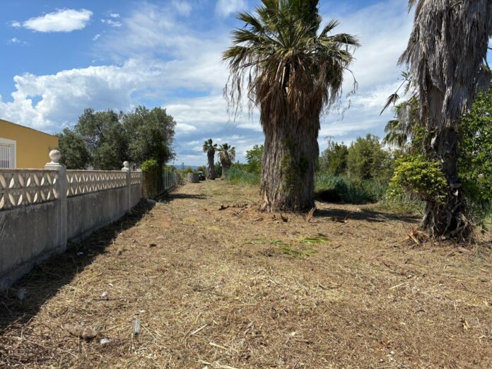 Limpieza de parcelas de calidad en Castellon