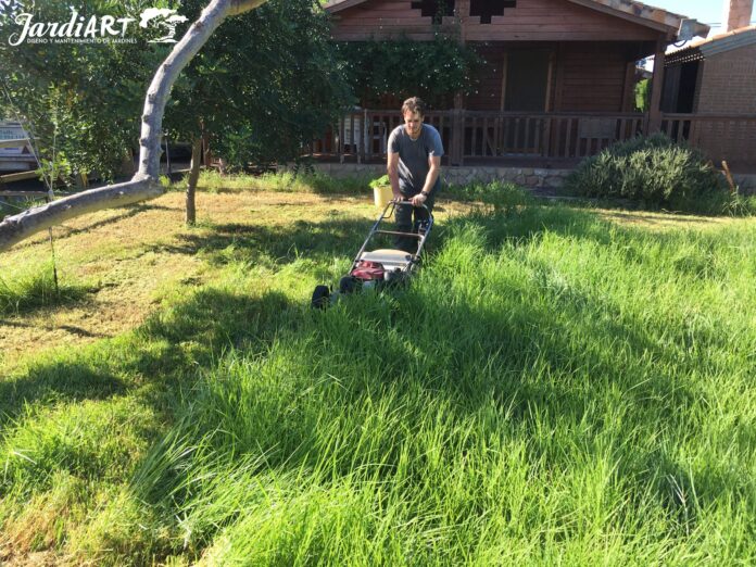 limpieza de jardines y mantenimiento castellon