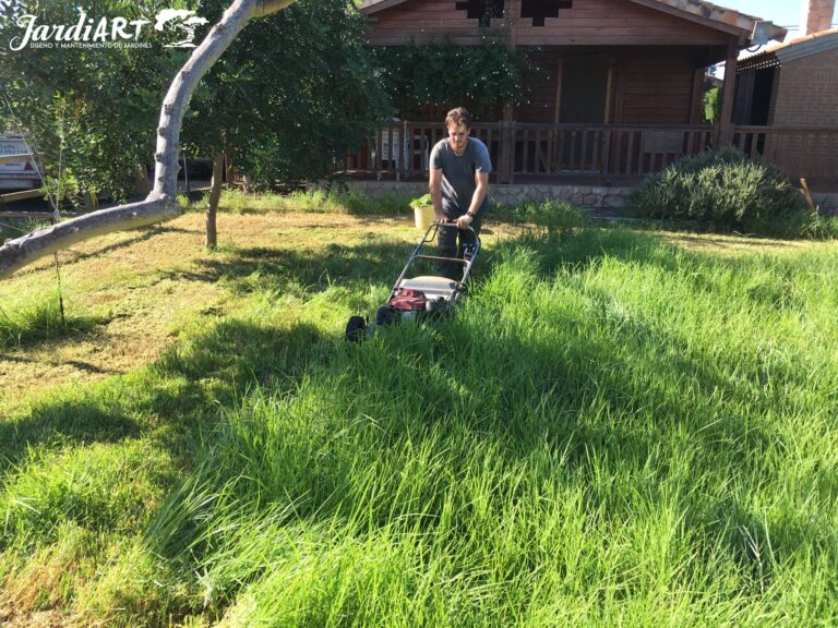 limpieza de jardines y mantenimiento castellon