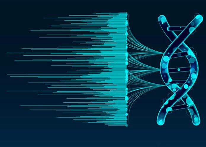 Marcadores genéticos