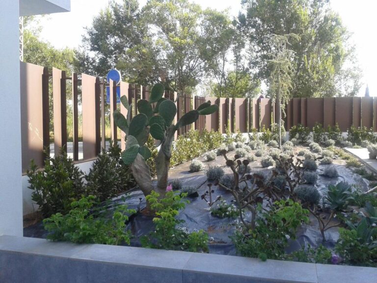 diseno jardines en Sagunto