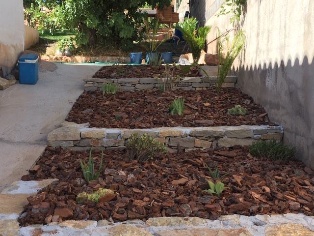 plantacion y abonado4