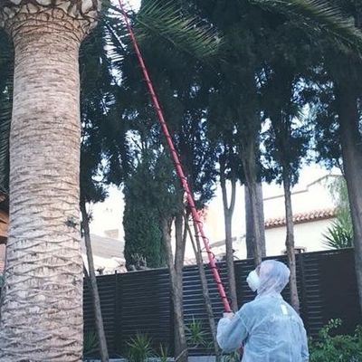 tratamientos fitosanitarios castellon